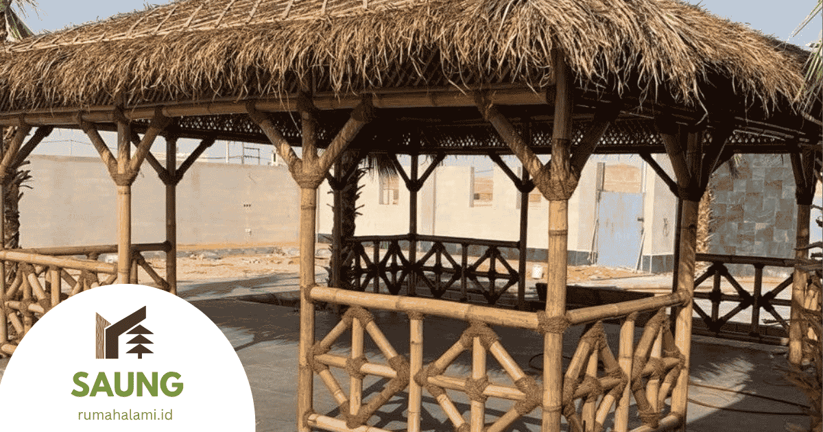 Saung